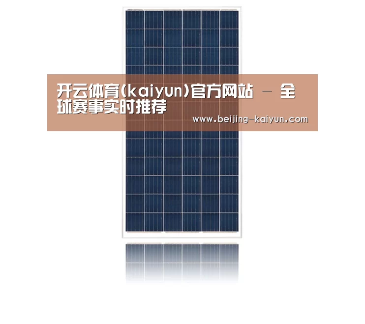 产品名称一