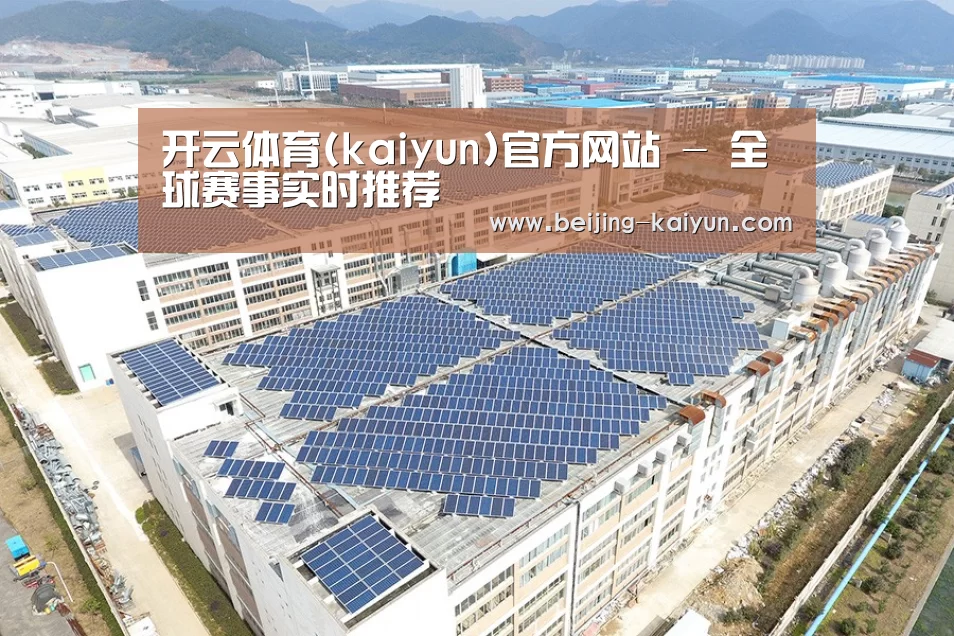 案例展示四