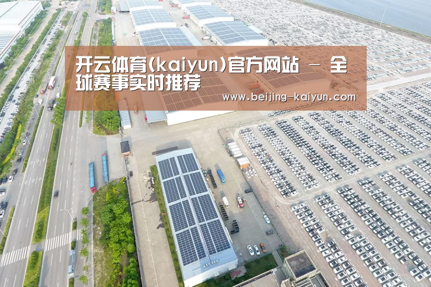 案例展示二